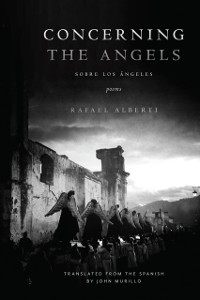 Cover Concerning the Angels