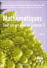 Cover Mathématiques Tout-en-un pour la Licence 3 - 3e éd.