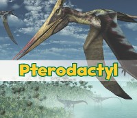 Cover Pterodactyl