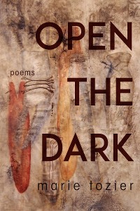 Cover Open the Dark