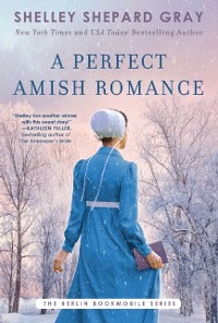 Cover Perfect Amish Romance