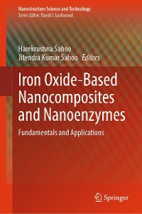 Cover Iron Oxide-Based Nanocomposites and Nanoenzymes