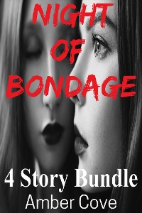 Cover Night of Bondage 4 Story Bundle