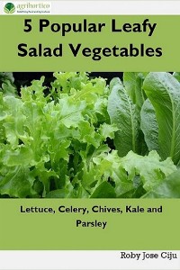 Cover 5 Popular Leafy Salad Vegetables