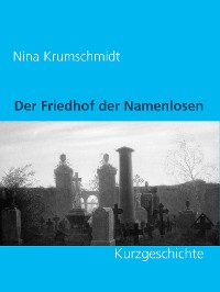 Cover Der Friedhof der Namenlosen