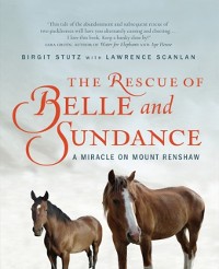 Cover Rescue Of Belle And Sundance