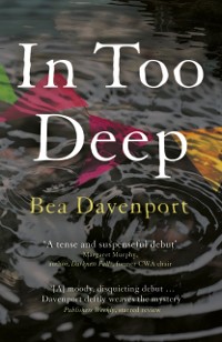 Cover In Too Deep