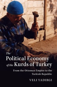 Cover Political Economy of the Kurds of Turkey