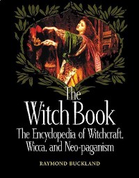 Cover The Witch Book