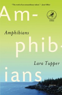 Cover Amphibians