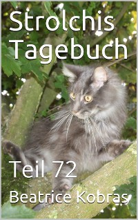 Cover Strolchis Tagebuch - Teil 72