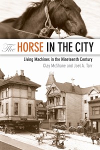 Cover Horse in the City