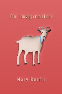 Cover On Imagination