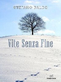 Cover Vite senza fine