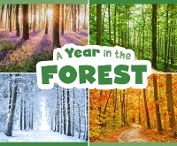 Cover Year in the Forest
