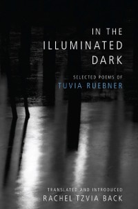 Cover In the Illuminated Dark