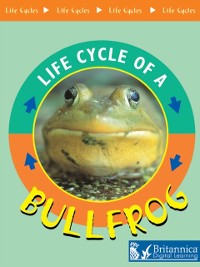 Cover Bullfrog