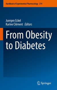 Cover From Obesity to Diabetes