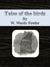 Cover Tales of the birds