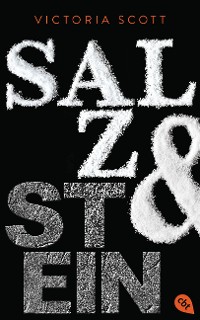 Cover Salz & Stein