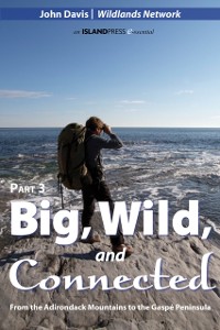Cover Big, Wild, and Connected