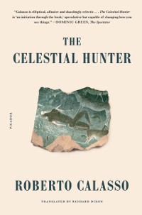 Cover Celestial Hunter