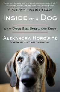 Cover Inside of a Dog
