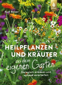 Cover Heilpflanzen und Kräuter aus dem eigenen Garten