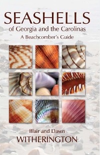 Cover Seashells of Georgia and the Carolinas