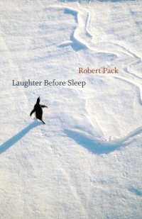 Cover Laughter Before Sleep