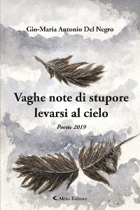 Cover Vaghe note di stupore levarsi al cielo