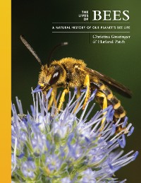 Cover The Lives of Bees