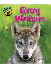Cover Gray Wolves