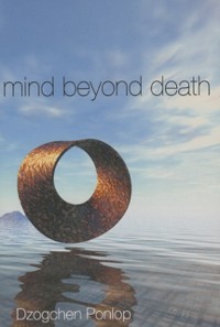 Cover Mind Beyond Death