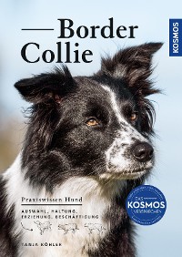 Cover Border Collie