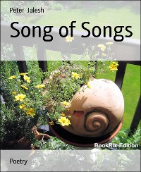 Cover Song of Songs