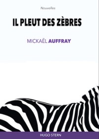 Cover Il pleut des zèbres