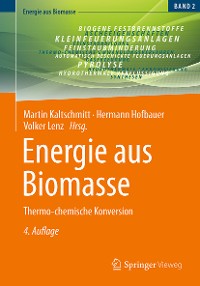 Cover Energie aus Biomasse