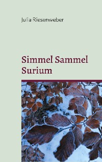Cover Simmel Sammel Surium