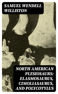 Cover North American Plesiosaurs: Elasmosaurus, Cimoliasaurus, and Polycotylus