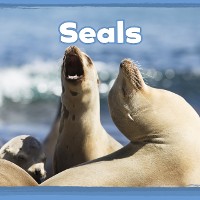 Cover Seals