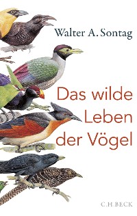 Cover Das wilde Leben der Vögel