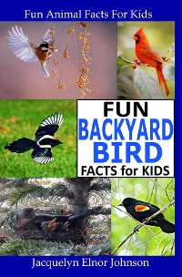 Cover Fun Backyard Bird Facts for Kids
