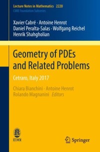 Cover Geometry of PDEs and Related Problems