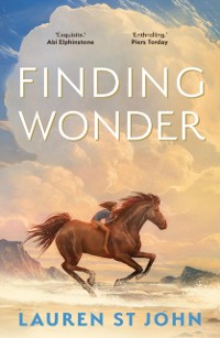Cover Finding Wonder