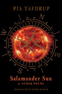 Cover Salamander Sun and other poems