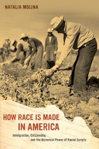 Cover How Race Is Made in America