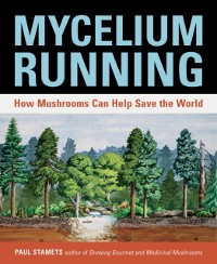 Cover Mycelium Running