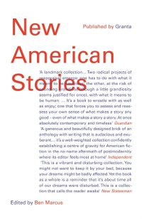 Cover New American Stories