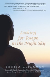 Cover Looking for Joseph in the Night Sky